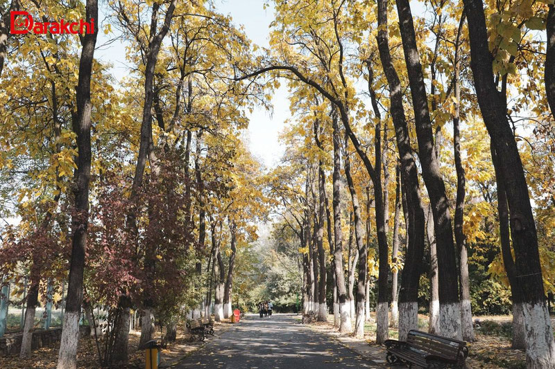 'Bugun qanday ob-havo bo‘lishi aytildi'ning rasmi