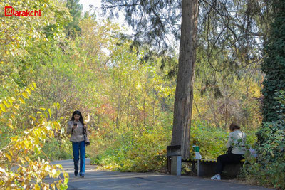 'Bugun harorat 21 darajagacha iliydi'ning rasmi