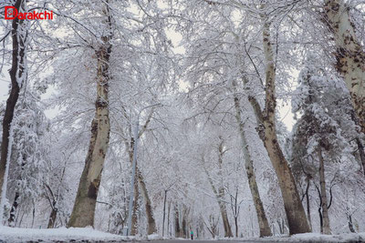 Изрображение 'Синоптики озвучили предварительный прогноз на грядущую зиму'