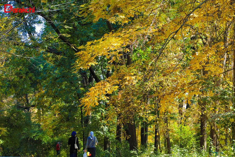 Изрображение 'В Узбекистане сегодня до +18'