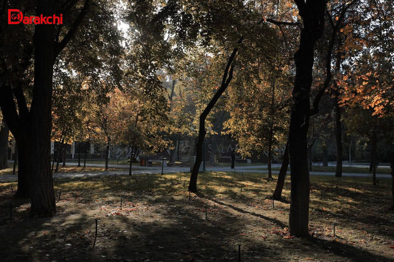 Изрображение 'В Узбекистане на неделе сохранится погода без осадков'