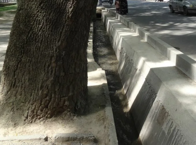 Изрображение 'В Ташкенте решили восстановить арычную систему'