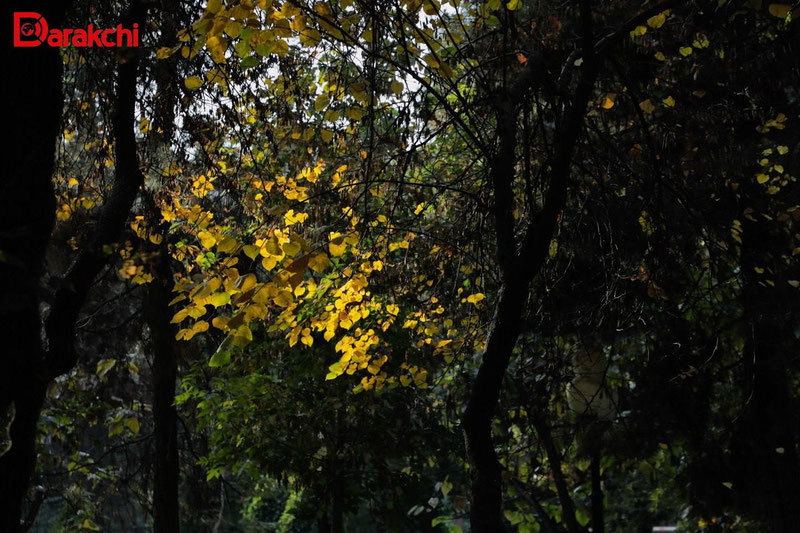 Изрображение 'В Ташкенте сегодня +18'