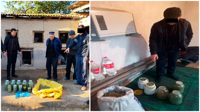 Изрображение 'В Ташкентской области изъято более 12 кг растительных и синтетических наркотиков'