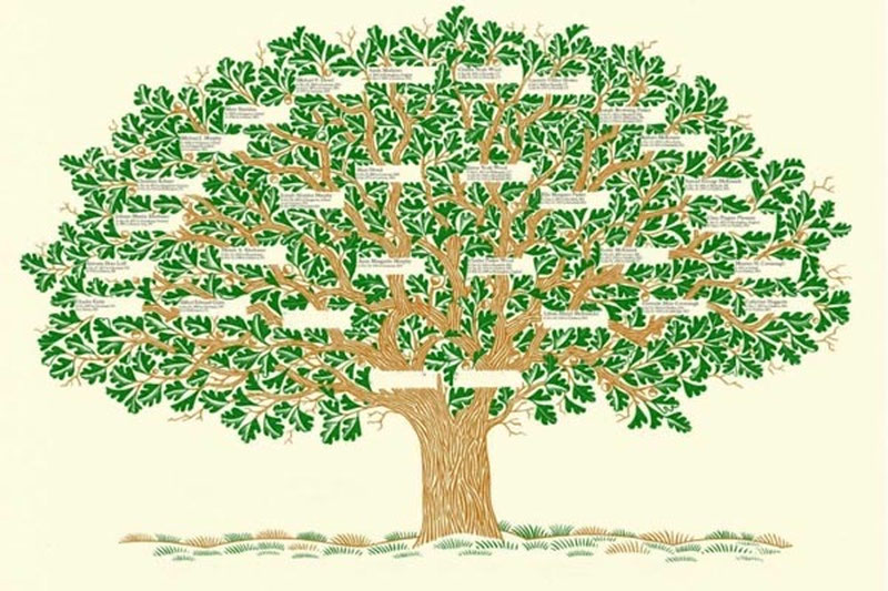 'Ўзбекистонда “Шажара” ахборот тизими йўлга қўйилади'ning rasmi