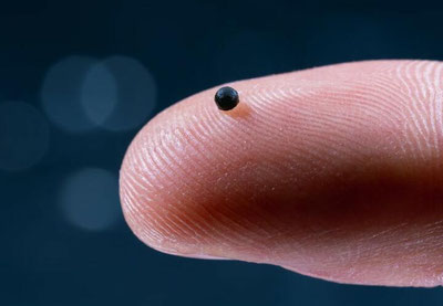 Изрображение 'В Швейцарии ученые создали микроробота размером с песчинку'