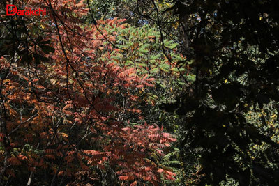 Image of 'What kind of weather are Uzbekistanis expecting today?'