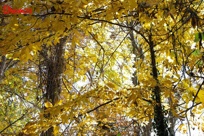 Изрображение 'Какая погода сегодня днем ждет узбекистанцев?'