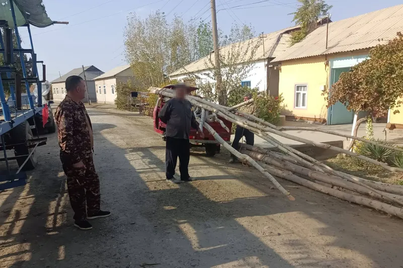 Изрображение 'В Бухарской области фермер вырубил 17 тополей на чужом участке'