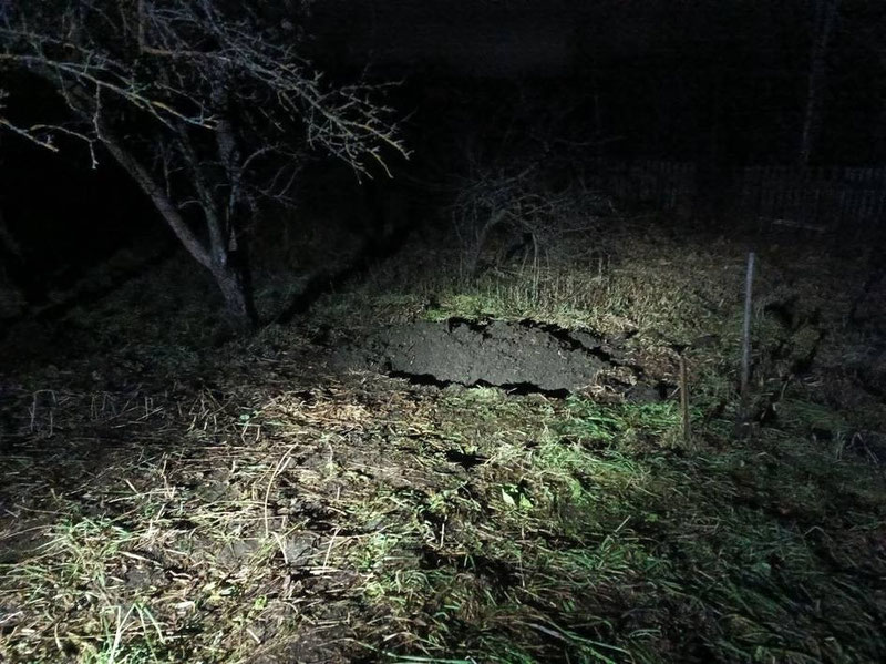 Image of 'A 54-year-old Uzbek man was killed and buried under a tree in Russia.'