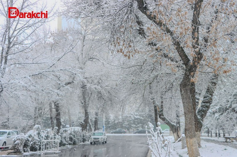 'Бугун қандай об-ҳаво бўлади?'ning rasmi