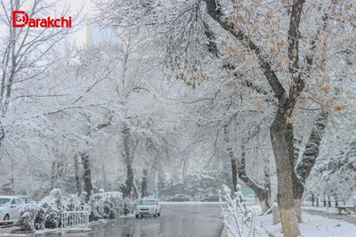 'Бугун қандай об-ҳаво бўлади?'ning rasmi