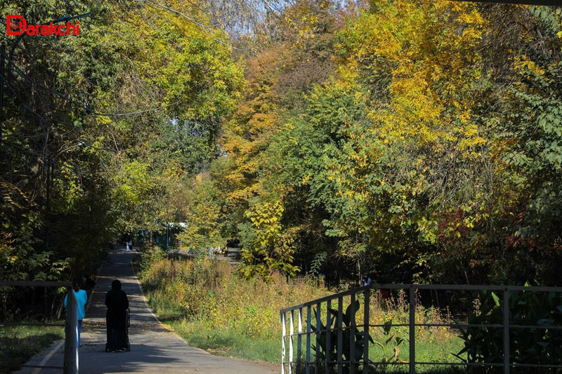 'Bugun qanday ob-havo bo‘ladi?'ning rasmi