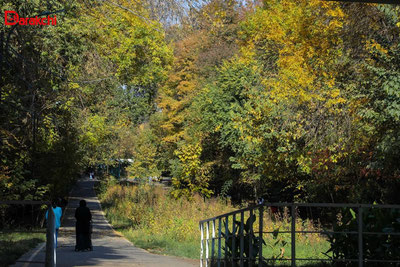 Image of 'What will the weather be like today?'