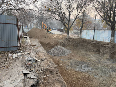 Изрображение 'В Ташкенте во время рытья котлована оголили корневую систему нескольких деревьев'