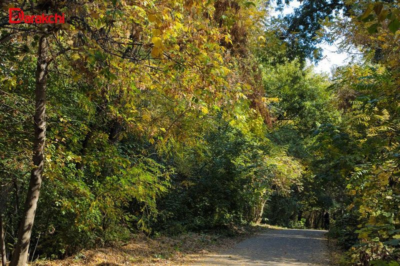 'Bugun harorat qanday bo‘lishi aytildi'ning rasmi