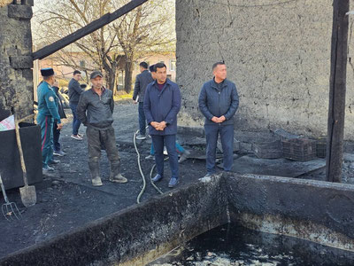 'Samarqandda tadbirkor choʻchqalarni boqish uchun havoga zararli moddalar tarqatdi'ning rasmi