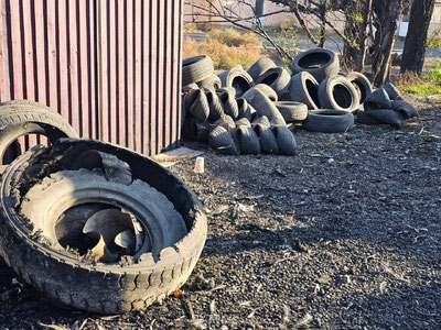 Изрображение 'В Самаркандской области владелец свинарника жёг автопокрышки для приготовления корма'