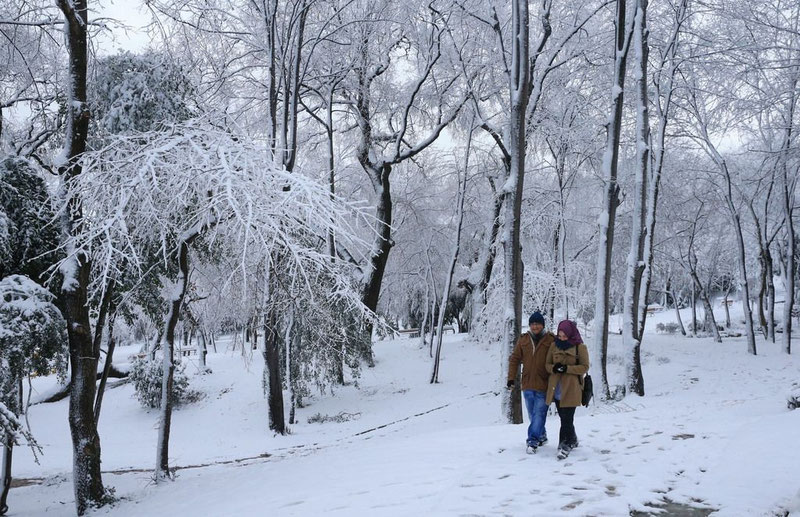 'Талабалар учун қишки таътил 28 декабрдан бошланади'ning rasmi