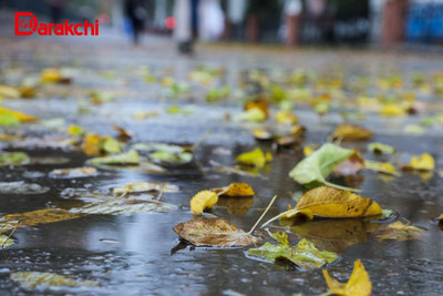 Изрображение 'Узгидромет предупредил о похолодании с 8 декабря'