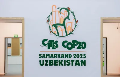 Изрображение 'Подведены итоги Конференции сторон CITES в Самарканде'