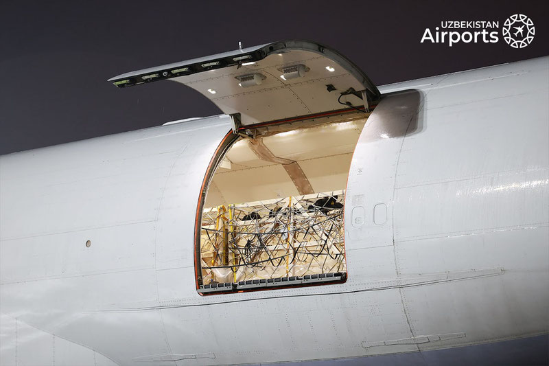 Изрображение 'В аэропорту Ташкента встретили живой груз (фото)'