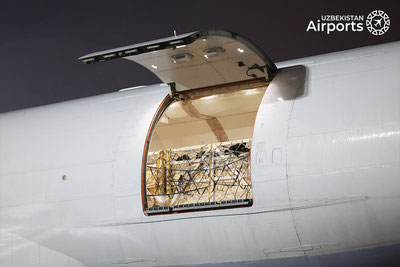 Изрображение 'В аэропорту Ташкента встретили живой груз (фото)'