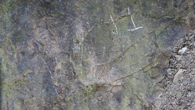 'Хитойда 200 млн йил аввалги 20 дан ортиқ динозавр изи топилди'ning rasmi