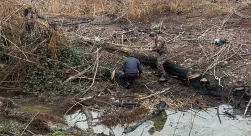 Изрображение 'Возле «Ташкентского моря» выявлена незаконная вырубка 24 деревьев'