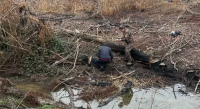 Изрображение 'Возле «Ташкентского моря» выявлена незаконная вырубка 24 деревьев'