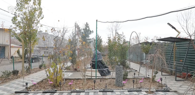 Изрображение 'Нацкомэкологии прокомментировал привлечение гражданина к ответственности за создание зелёной зоны в Ташкенте'