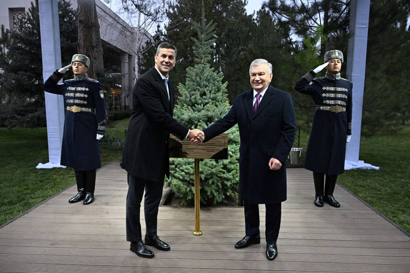 Изрображение 'Президенты Узбекистана и Парагвая вместе посадили дерево'