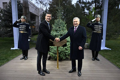 Изрображение 'Президенты Узбекистана и Парагвая вместе посадили дерево'