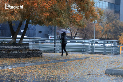 'Бугун республиканинг барча ҳудудларида ёмғир ёғиши айтилди'ning rasmi