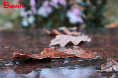 Изрображение 'В столице во второй половине дня дождь'