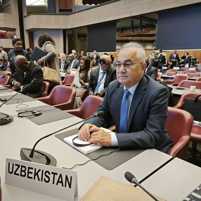 Изрображение 'Узбекистан представляет в Женеве опыт по защите прав перемещённых лиц и лиц без гражданства'