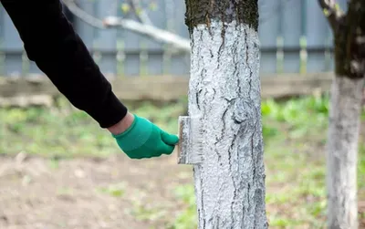 Изрображение 'Детский омбудсмен выявил факт принудительного детского труда в одной из школ Зангиаты'