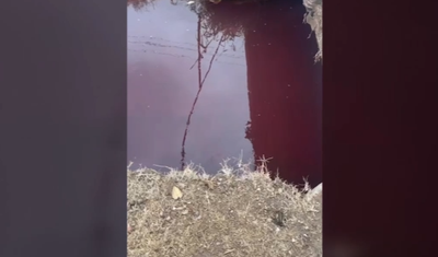 Изрображение 'Экологии расследовали появление "кровавой воды" в канале под Ташкентом'