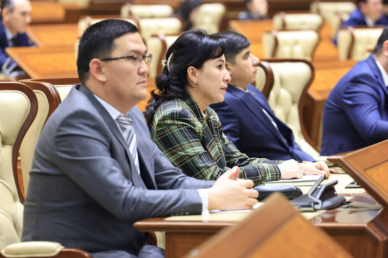 Изрображение 'Самовольное бетонирование придомовых территорий с зелёным покрытием признают правонарушением'