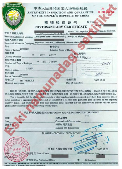 Изрображение 'Почему продукцию, ввозимую из Китая, задерживают на границе?'