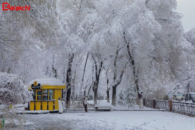 'Бугун қайси ҳудудларда қор ёғиши маълум бўлди'ning rasmi