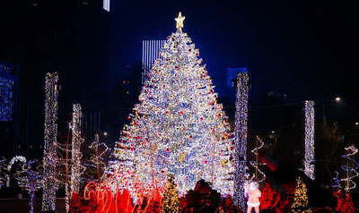 Изрображение 'Госучреждениям запрещены новогодние "корпоративы" за счет бюджета'