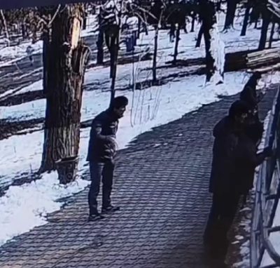 Изрображение 'В Ташкентском зоопарке посетители закидывали снежками тигров'