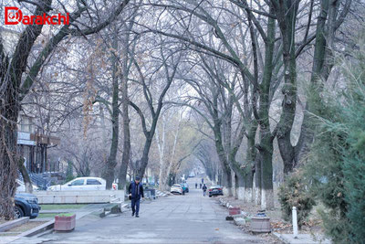 Изрображение 'В Ташкенте сегодня +10'