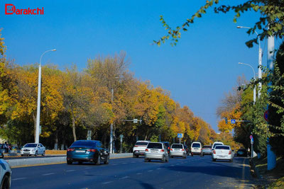 'Йўл камераларидаги маълумотлар очиқ эмас — ИИВ расмий муносабат билдирди'ning rasmi