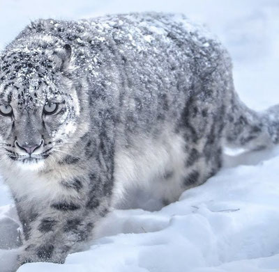 Image of 'In Tajikistan, the punishment for those who mine cryptocurrency has been increased.'