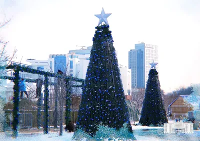 'Тошкентнинг янги йил арчаси дунё рейтингидан жой олди'ning rasmi