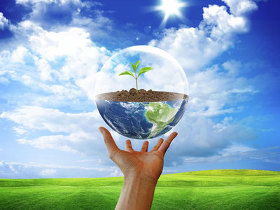 Image of 'The ecological situation in Uzbekistan is noticeably improving.'