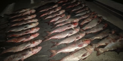 Изрображение 'На озере Тудакуль в Навоийской области пресечена незаконная ловля рыбы'