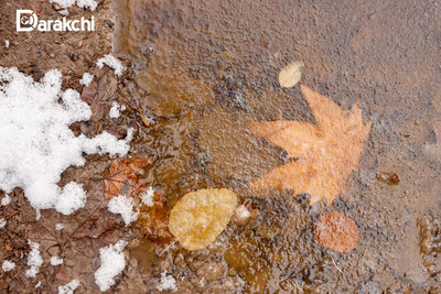 'Бугун ёмғир ёғади'ning rasmi